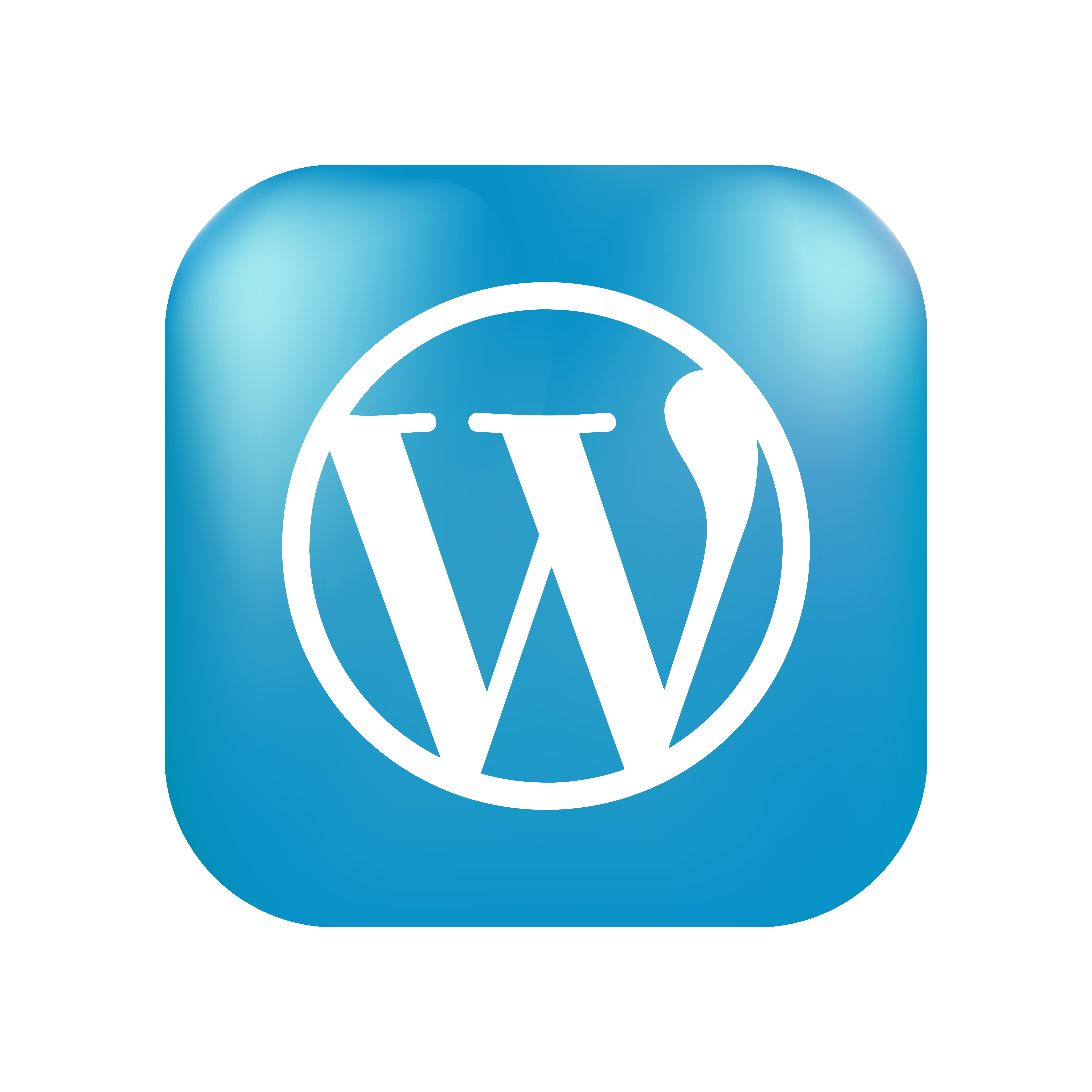 Image Icon